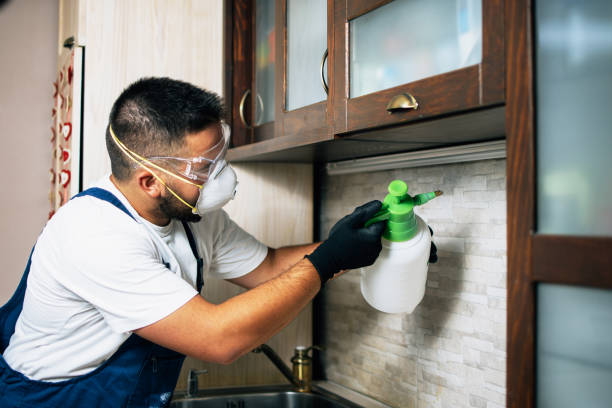 Best Wasp Removal Services  in Mayfield, OH