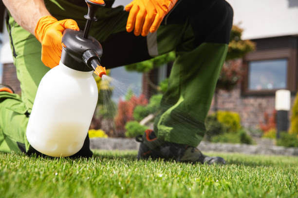 Best Mosquito Control Services  in Mayfield, OH