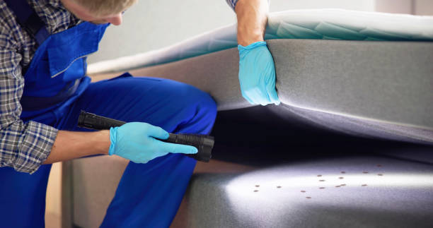Best Cockroach Control Services  in Mayfield, OH