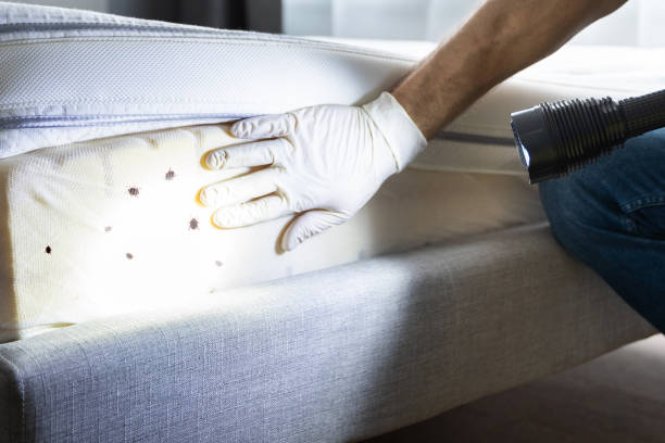 Trusted Mayfield, OH Pest Control Experts