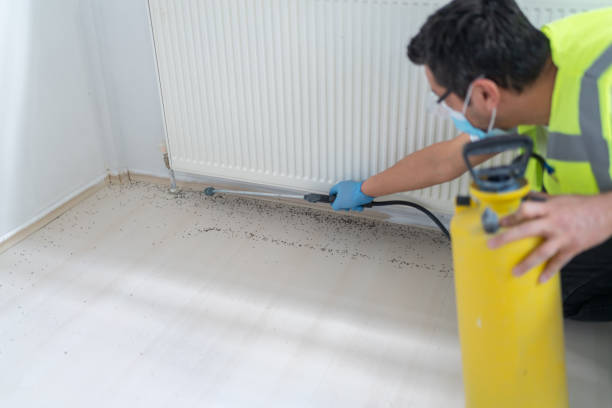 Best Pest Removal Services  in Mayfield, OH