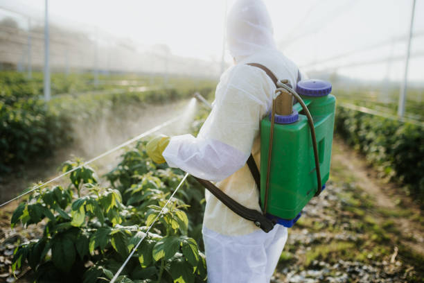 Best Bed Bug Extermination  in Mayfield, OH